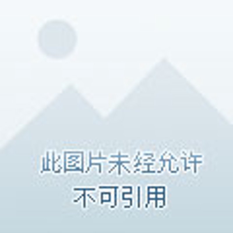 探秘壮族文化：传承与创新的双重魅力
